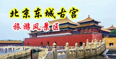 祝大家看你视频粗大吊干逼视频中国北京-东城古宫旅游风景区